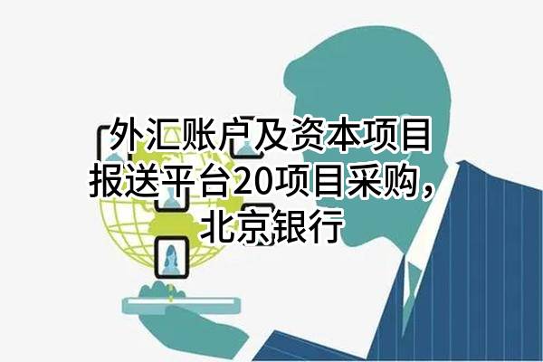外汇账户及资本项目报送平台20项目采购，北京银行股份有限公司
