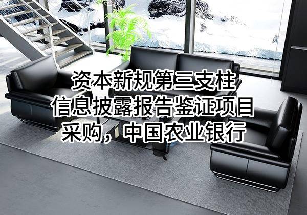 资本新规第三支柱信息披露报告鉴证项目采购，中国农业银行股份有限公司