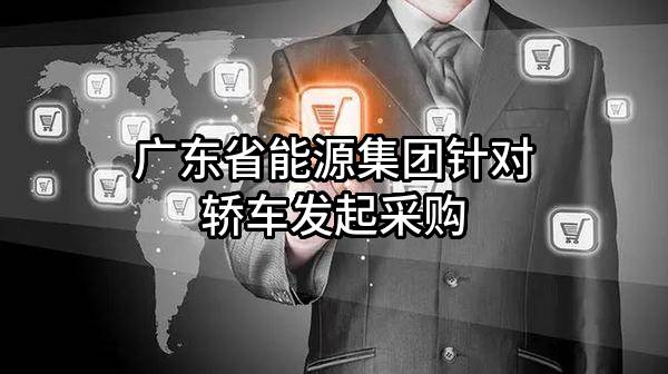 广东省能源集团有限公司针对轿车发起采购
